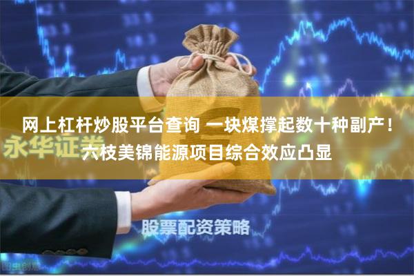 网上杠杆炒股平台查询 一块煤撑起数十种副产！六枝美锦能源项目综合效应凸显