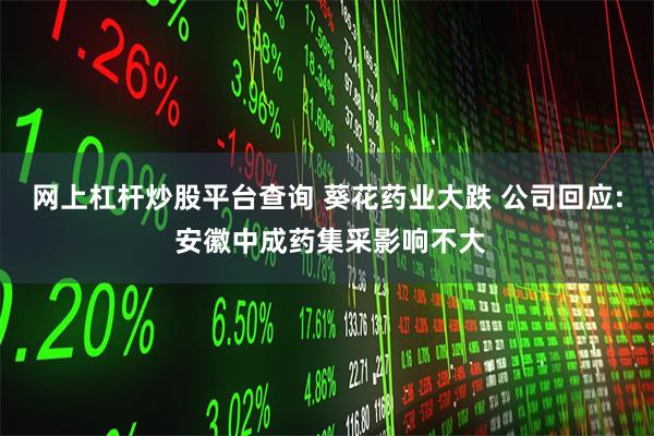 网上杠杆炒股平台查询 葵花药业大跌 公司回应: 安徽中成药集采影响不大