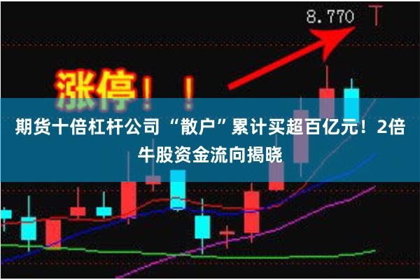 期货十倍杠杆公司 “散户”累计买超百亿元！2倍牛股资金流向揭晓