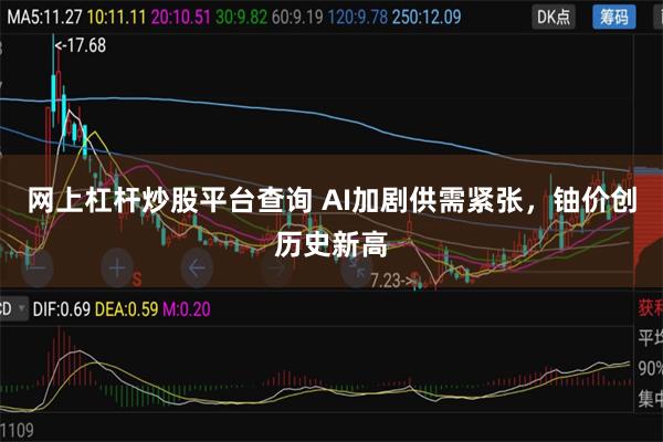 网上杠杆炒股平台查询 AI加剧供需紧张，铀价创历史新高